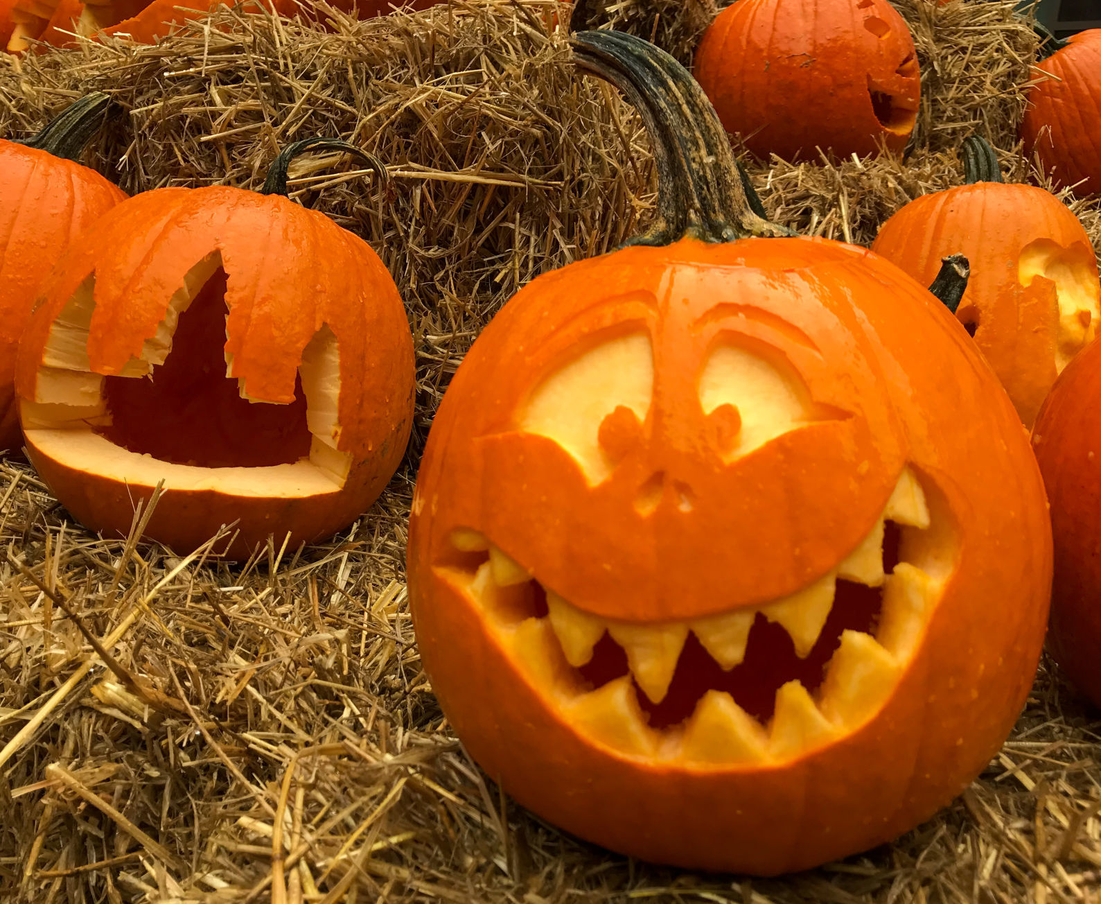 Pumpkin carving